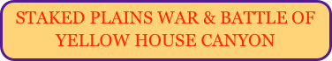 STAKED PLAINS WAR & BATTLE OF
YELLOW HOUSE CANYON