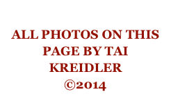 
ALL PHOTOS ON THIS PAGE BY TAI KREIDLER
©2014 