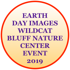 
EARTH DAY IMAGES 
WILDCAT BLUFF NATURE CENTER
EVENT
2019
AINSTALLACOURTHOUSE
PROMPISOTOINFORMATIONINFORFEBRUARNovemberFEBRUARYVIEWARROWI