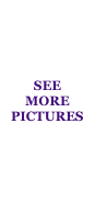 SEE
MORE PICTURES 