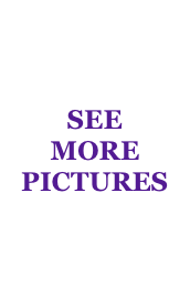 SEE
MORE PICTURES 