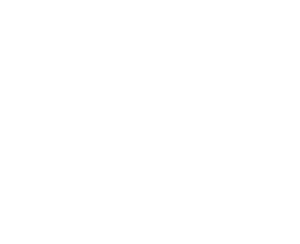  SEE MORE
PHOTOGRAPHS OF THE ARROW INSTALLATION
. . .